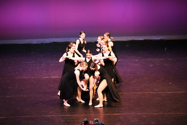 Keywords: Hayley_B;Evelyn_C;Lauren_D;Lauren_F;Sydney_K;Erin_K;Katelyn_L;Brandi_M;Jessica_P;Nora_R;Alicia_S;Grace_V