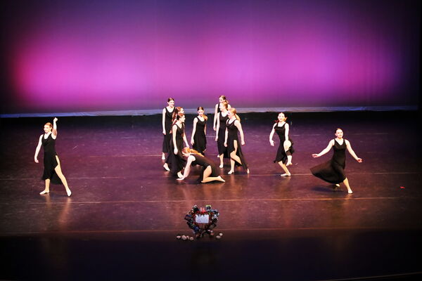 Keywords: Hayley_B;Evelyn_C;Lauren_D;Lauren_F;Sydney_K;Erin_K;Katelyn_L;Brandi_M;Jessica_P;Nora_R;Alicia_S;Grace_V