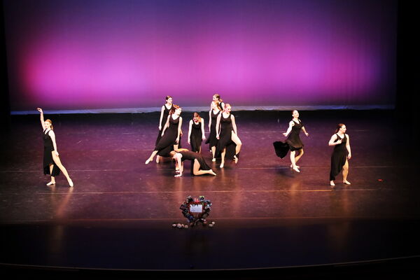 Keywords: Hayley_B;Evelyn_C;Lauren_D;Lauren_F;Sydney_K;Erin_K;Katelyn_L;Brandi_M;Jessica_P;Nora_R;Alicia_S;Grace_V