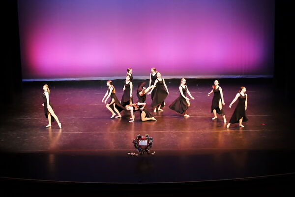 Keywords: Hayley_B;Evelyn_C;Lauren_D;Lauren_F;Sydney_K;Erin_K;Katelyn_L;Brandi_M;Jessica_P;Nora_R;Alicia_S;Grace_V