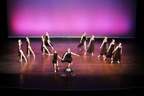 Keywords: Hayley_B;Evelyn_C;Lauren_D;Lauren_F;Sydney_K;Erin_K;Katelyn_L;Brandi_M;Jessica_P;Nora_R;Alicia_S;Grace_V