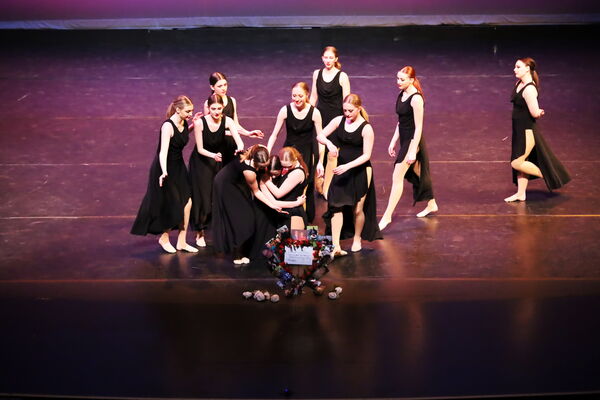 Keywords: Hayley_B;Evelyn_C;Lauren_D;Lauren_F;Sydney_K;Erin_K;Katelyn_L;Brandi_M;Jessica_P;Nora_R;Alicia_S;Grace_V