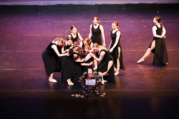 Keywords: Hayley_B;Evelyn_C;Lauren_D;Lauren_F;Sydney_K;Erin_K;Katelyn_L;Brandi_M;Jessica_P;Nora_R;Alicia_S;Grace_V