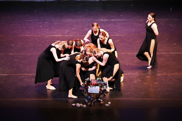 Keywords: Hayley_B;Evelyn_C;Lauren_D;Lauren_F;Sydney_K;Erin_K;Katelyn_L;Brandi_M;Jessica_P;Nora_R;Alicia_S;Grace_V