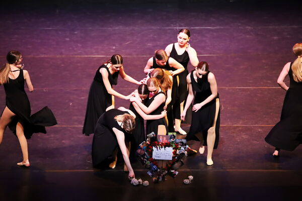 Keywords: Hayley_B;Evelyn_C;Lauren_D;Lauren_F;Sydney_K;Erin_K;Katelyn_L;Brandi_M;Jessica_P;Nora_R;Alicia_S;Grace_V