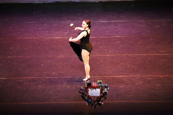 Keywords: Hayley_B;Evelyn_C;Lauren_D;Lauren_F;Sydney_K;Erin_K;Katelyn_L;Brandi_M;Jessica_P;Nora_R;Alicia_S;Grace_V