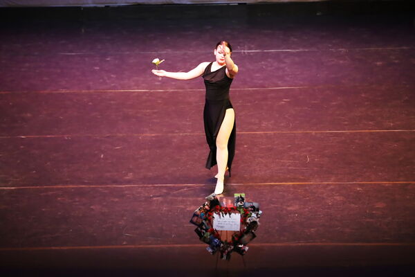 Keywords: Hayley_B;Evelyn_C;Lauren_D;Lauren_F;Sydney_K;Erin_K;Katelyn_L;Brandi_M;Jessica_P;Nora_R;Alicia_S;Grace_V