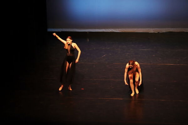 Keywords: Lauren_D;Adeline_S