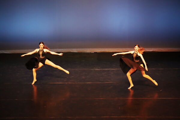 Keywords: Lauren_D;Adeline_S