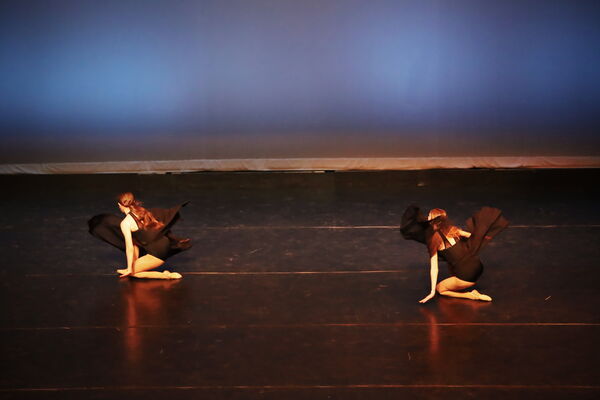 Keywords: Lauren_D;Adeline_S