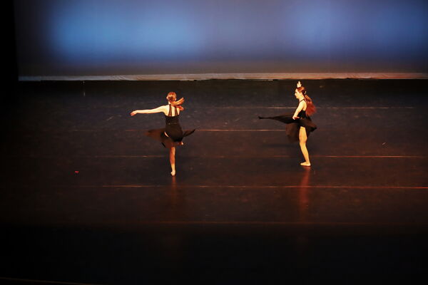 Keywords: Lauren_D;Adeline_S