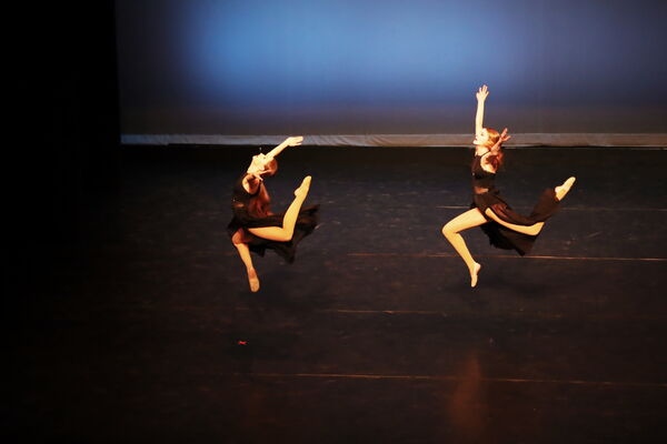 Keywords: Lauren_D;Adeline_S