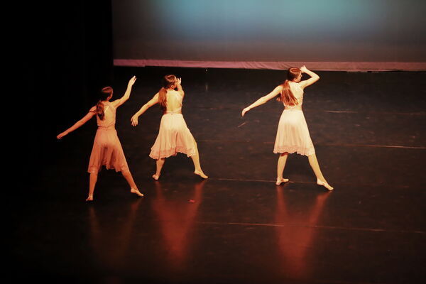 Keywords: Evelyn_C; Lauren_H; Sydney_K