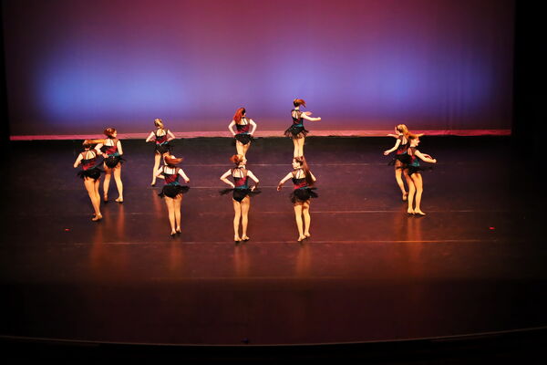 Keywords: Jillian_B; Lola_E; Kenadee_G; Samantha_K; Lilly_K; Ava_M; Jocelyn_P; Miah_S; Madelyn_V; Lydia_W