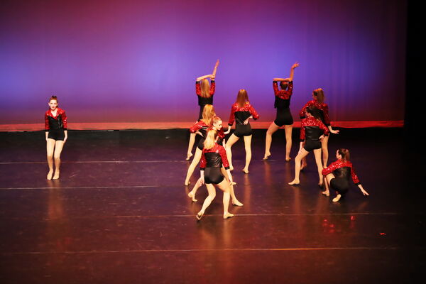 Keywords: Hayley_B; Evelyn_C; Lauren_D; Lauren_F; Sydney_K; Erin_K; Katelyn_L; Brandi_M; Jessica_P; Nora_R; Alicia_S; Grace_V