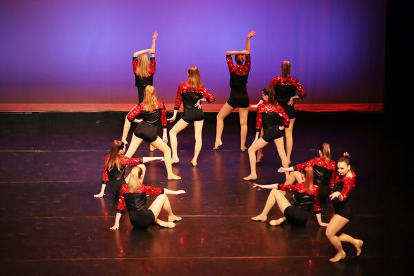 Keywords: Hayley_B; Evelyn_C; Lauren_D; Lauren_F; Sydney_K; Erin_K; Katelyn_L; Brandi_M; Jessica_P; Nora_R; Alicia_S; Grace_V