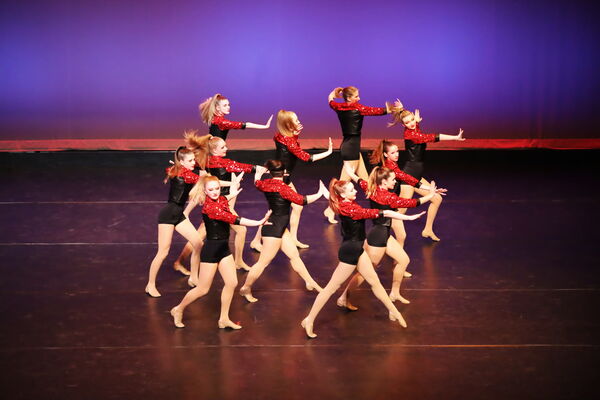 Keywords: Hayley_B; Evelyn_C; Lauren_D; Lauren_F; Sydney_K; Erin_K; Katelyn_L; Brandi_M; Jessica_P; Nora_R; Alicia_S; Grace_V