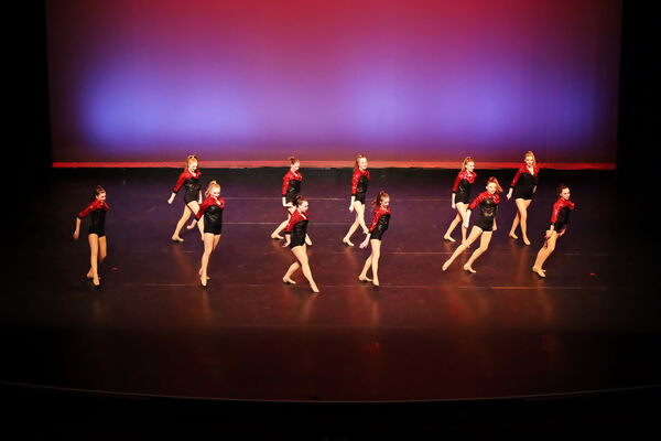 Keywords: Hayley_B; Evelyn_C; Lauren_D; Lauren_F; Sydney_K; Erin_K; Katelyn_L; Brandi_M; Jessica_P; Nora_R; Alicia_S; Grace_V