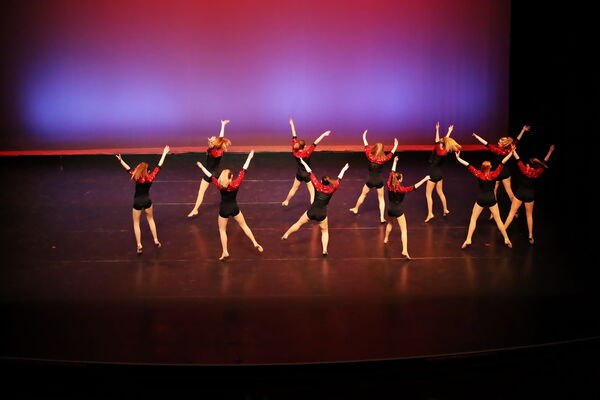 Keywords: Hayley_B; Evelyn_C; Lauren_D; Lauren_F; Sydney_K; Erin_K; Katelyn_L; Brandi_M; Jessica_P; Nora_R; Alicia_S; Grace_V