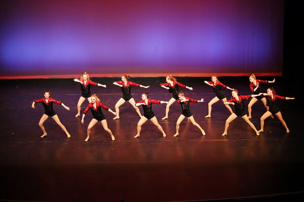 Keywords: Hayley_B; Evelyn_C; Lauren_D; Lauren_F; Sydney_K; Erin_K; Katelyn_L; Brandi_M; Jessica_P; Nora_R; Alicia_S; Grace_V