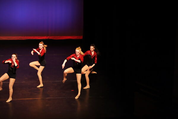 Keywords: Hayley_B; Evelyn_C; Lauren_D; Lauren_F; Sydney_K; Erin_K; Katelyn_L; Brandi_M; Jessica_P; Nora_R; Alicia_S; Grace_V