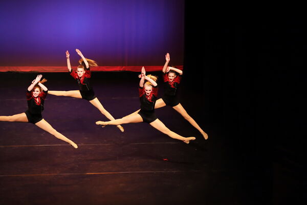 Keywords: Hayley_B; Evelyn_C; Lauren_D; Lauren_F; Sydney_K; Erin_K; Katelyn_L; Brandi_M; Jessica_P; Nora_R; Alicia_S; Grace_V