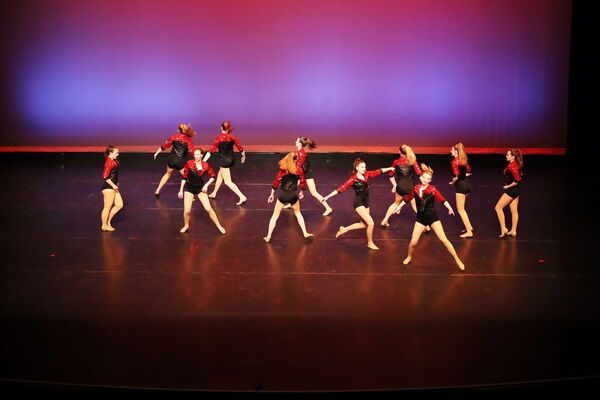 Keywords: Hayley_B; Evelyn_C; Lauren_D; Lauren_F; Sydney_K; Erin_K; Katelyn_L; Brandi_M; Jessica_P; Nora_R; Alicia_S; Grace_V