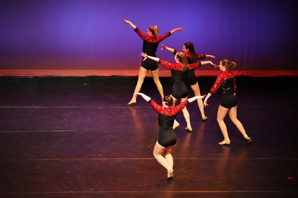 Keywords: Hayley_B; Evelyn_C; Lauren_D; Lauren_F; Sydney_K; Erin_K; Katelyn_L; Brandi_M; Jessica_P; Nora_R; Alicia_S; Grace_V