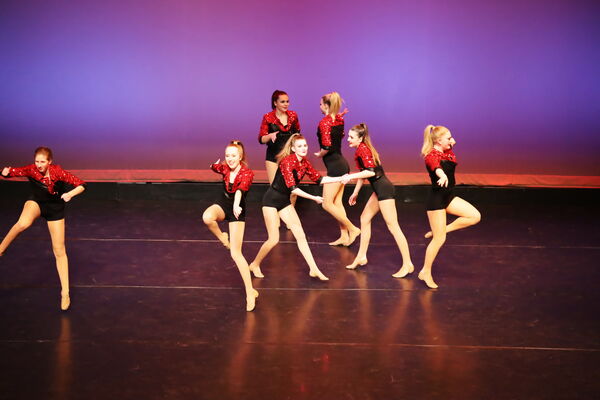 Keywords: Hayley_B; Evelyn_C; Lauren_D; Lauren_F; Sydney_K; Erin_K; Katelyn_L; Brandi_M; Jessica_P; Nora_R; Alicia_S; Grace_V