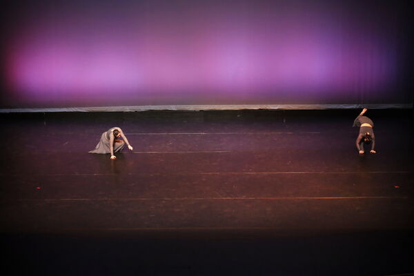 Keywords: Brenna_S; Sophia_C