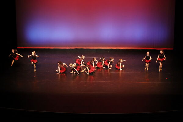 Keywords: Madeline_C;Clara_F;Cameron_G;Viviana_G;Hailey_H;Maedolyn_H;Anna_M;Samari_M;Katie_S;Seyenna_S;Melania_T;Grace_T;Mon_6pm_PC