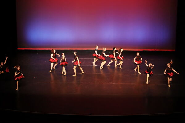 Keywords: Madeline_C;Clara_F;Cameron_G;Viviana_G;Hailey_H;Maedolyn_H;Anna_M;Samari_M;Katie_S;Seyenna_S;Melania_T;Grace_T;Mon_6pm_PC