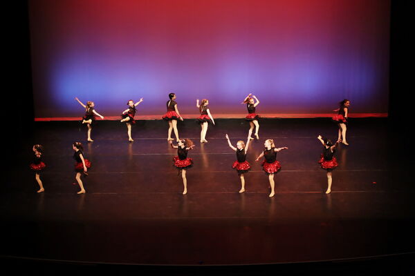 Keywords: Madeline_C;Clara_F;Cameron_G;Viviana_G;Hailey_H;Maedolyn_H;Anna_M;Samari_M;Katie_S;Seyenna_S;Melania_T;Grace_T;Mon_6pm_PC