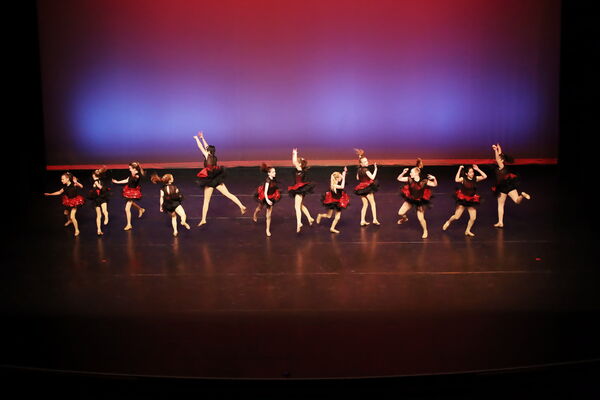 Keywords: Madeline_C;Clara_F;Cameron_G;Viviana_G;Hailey_H;Maedolyn_H;Anna_M;Samari_M;Katie_S;Seyenna_S;Melania_T;Grace_T;Mon_6pm_PC