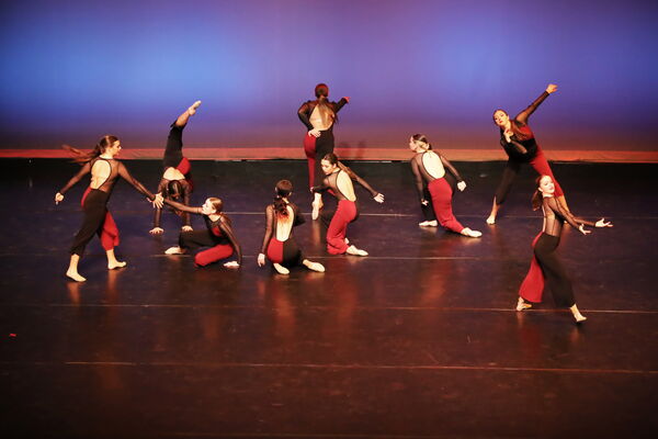 Keywords: Sofia_C; Georgia_C; Abby_H; Lauren_H; Halie_J; Olivia_K; Rosie_K; Jessica_M; Ella_S