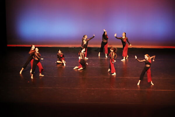 Keywords: Sofia_C; Georgia_C; Abby_H; Lauren_H; Halie_J; Olivia_K; Rosie_K; Jessica_M; Ella_S