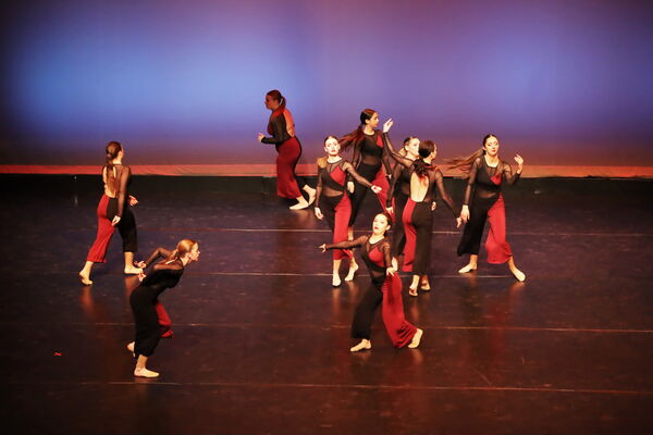 Keywords: Sofia_C; Georgia_C; Abby_H; Lauren_H; Halie_J; Olivia_K; Rosie_K; Jessica_M; Ella_S