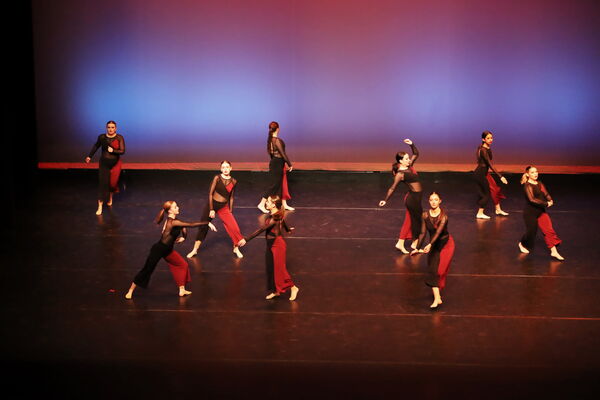 Keywords: Sofia_C; Georgia_C; Abby_H; Lauren_H; Halie_J; Olivia_K; Rosie_K; Jessica_M; Ella_S