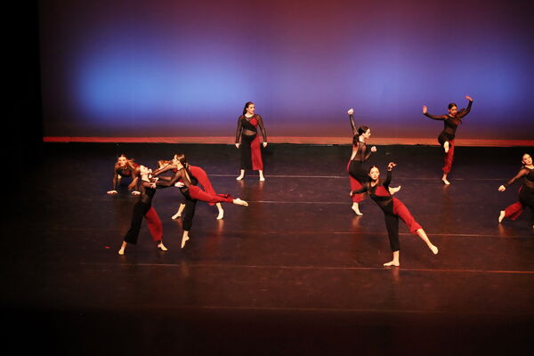 Keywords: Sofia_C; Georgia_C; Abby_H; Lauren_H; Halie_J; Olivia_K; Rosie_K; Jessica_M; Ella_S