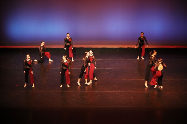 Keywords: Sofia_C; Georgia_C; Abby_H; Lauren_H; Halie_J; Olivia_K; Rosie_K; Jessica_M; Ella_S