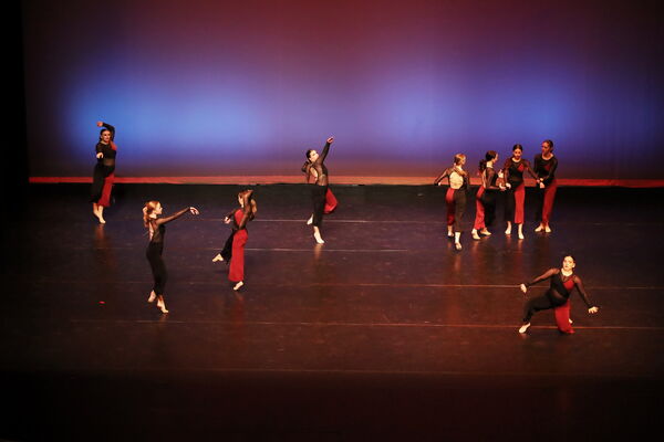 Keywords: Sofia_C; Georgia_C; Abby_H; Lauren_H; Halie_J; Olivia_K; Rosie_K; Jessica_M; Ella_S