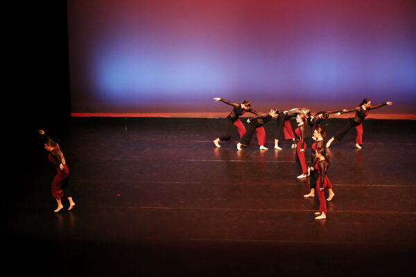 Keywords: Sofia_C; Georgia_C; Abby_H; Lauren_H; Halie_J; Olivia_K; Rosie_K; Jessica_M; Ella_S