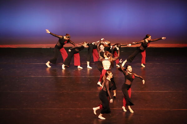 Keywords: Sofia_C; Georgia_C; Abby_H; Lauren_H; Halie_J; Olivia_K; Rosie_K; Jessica_M; Ella_S