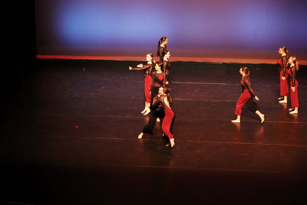 Keywords: Sofia_C; Georgia_C; Abby_H; Lauren_H; Halie_J; Olivia_K; Rosie_K; Jessica_M; Ella_S