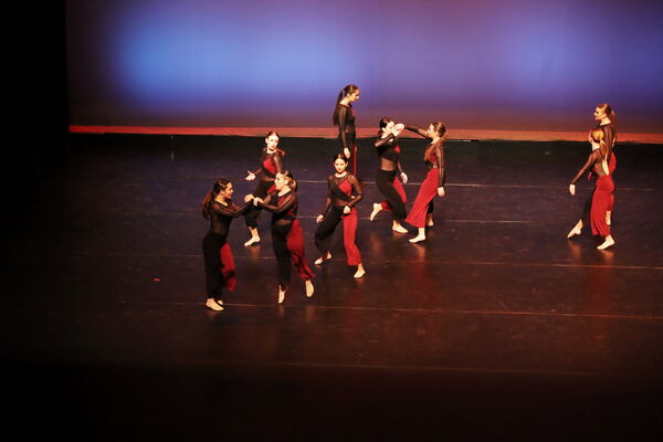 Keywords: Sofia_C; Georgia_C; Abby_H; Lauren_H; Halie_J; Olivia_K; Rosie_K; Jessica_M; Ella_S