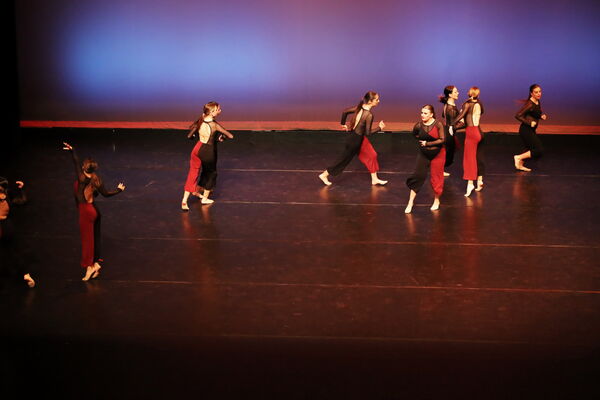 Keywords: Sofia_C; Georgia_C; Abby_H; Lauren_H; Halie_J; Olivia_K; Rosie_K; Jessica_M; Ella_S