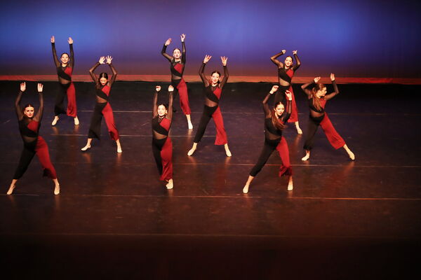 Keywords: Sofia_C; Georgia_C; Abby_H; Lauren_H; Halie_J; Olivia_K; Rosie_K; Jessica_M; Ella_S