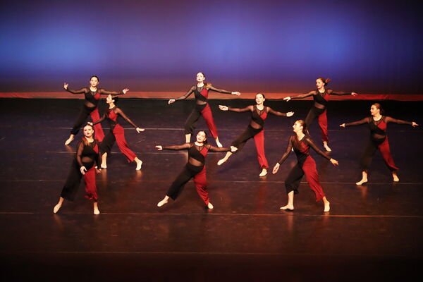 Keywords: Sofia_C; Georgia_C; Abby_H; Lauren_H; Halie_J; Olivia_K; Rosie_K; Jessica_M; Ella_S