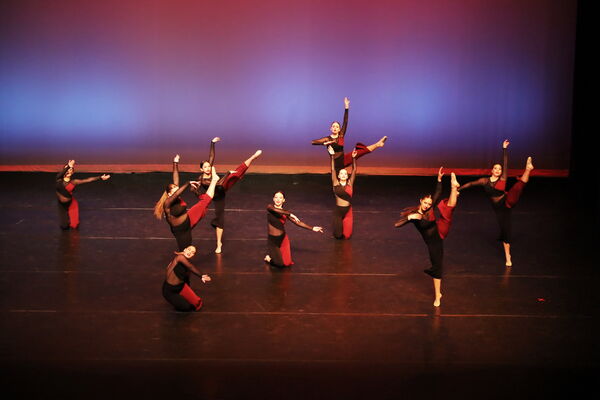 Keywords: Sofia_C; Georgia_C; Abby_H; Lauren_H; Halie_J; Olivia_K; Rosie_K; Jessica_M; Ella_S