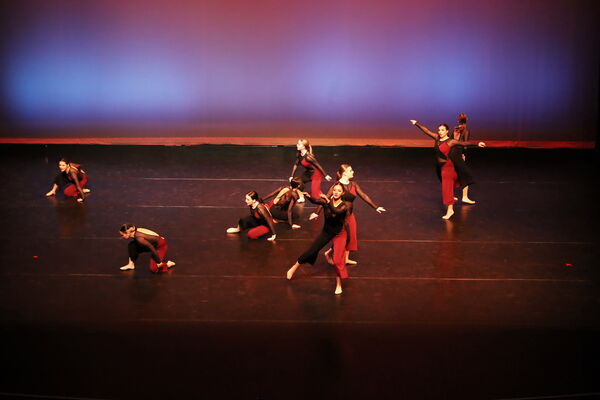 Keywords: Sofia_C; Georgia_C; Abby_H; Lauren_H; Halie_J; Olivia_K; Rosie_K; Jessica_M; Ella_S